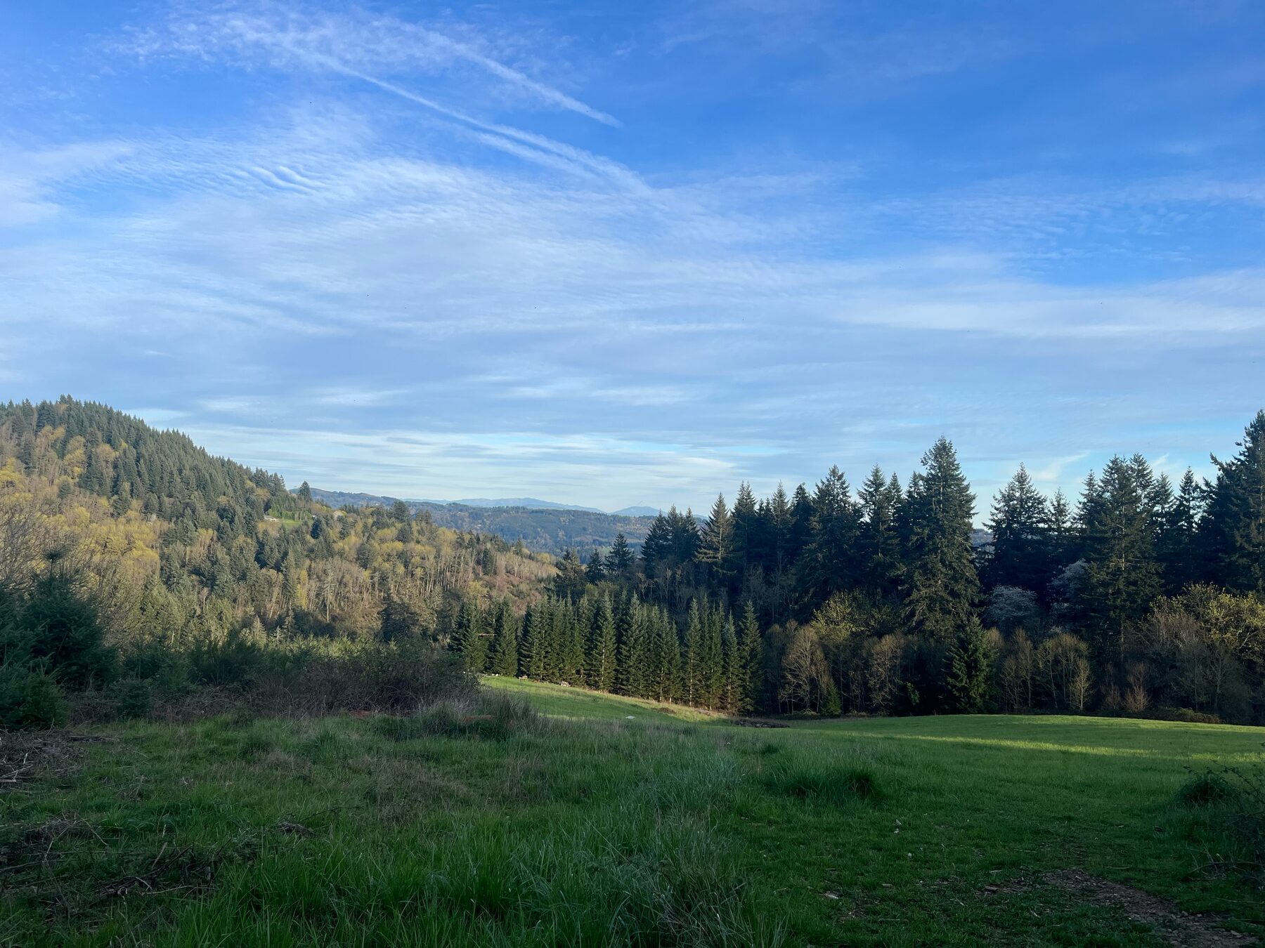 Valley overlook from the farm hilltop