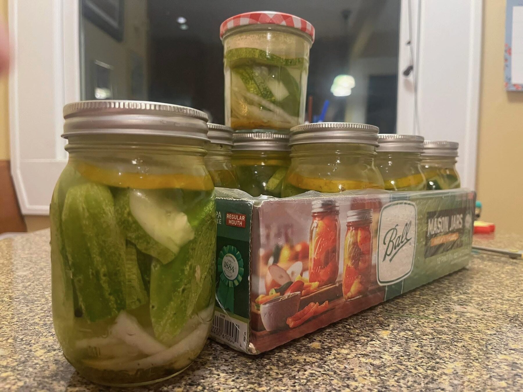 Mason jars of pickles lined up on a counter from last season's harvest