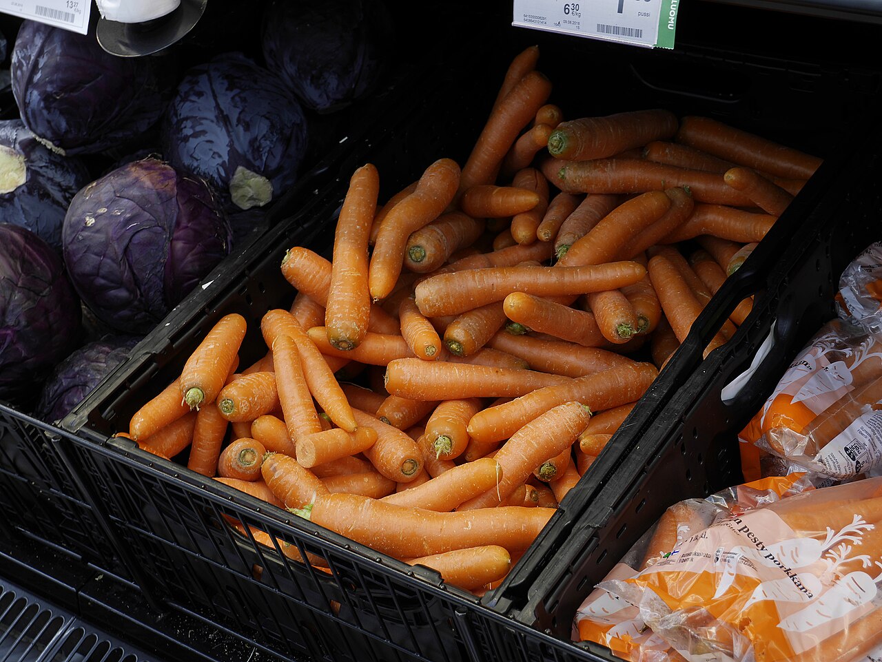Bunch of carrots with greens still attached